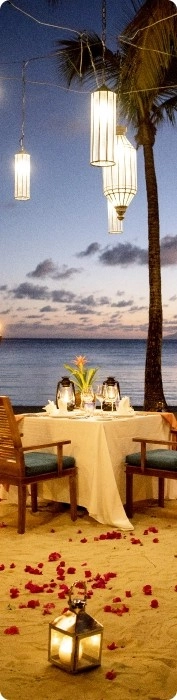 Wedding & Events Wedding & Events