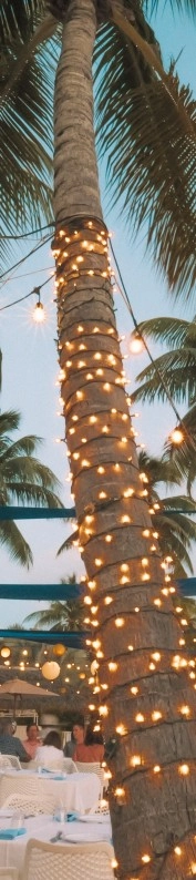 Luna Del Mar Luna Del Mar