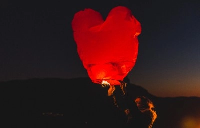 Kaibo Can offer you more