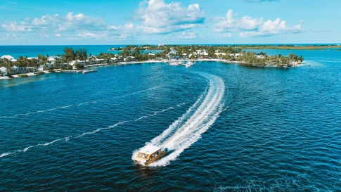 Lorem ipsum dolor sit amet nibh