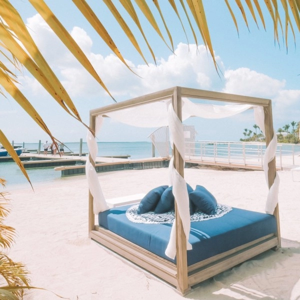 Lorem ipsum dolor sit amet nibh