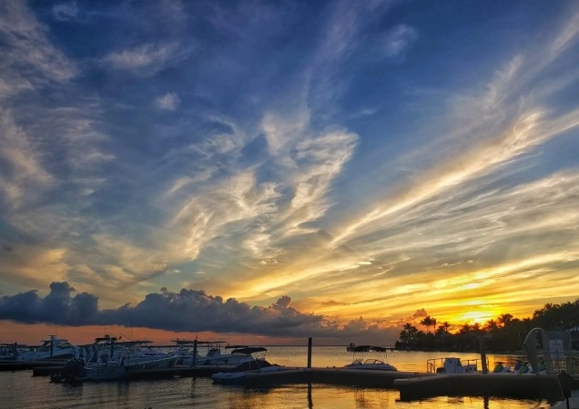 Our Sustainability Story